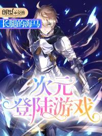 次元登录游戏封面