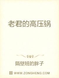 老君的高压锅封面