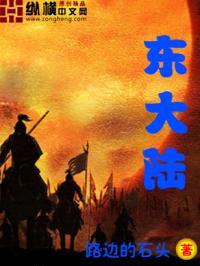 东大陆封面