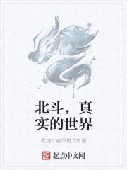 北斗，真实的世界封面