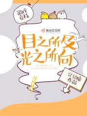 目之所及，光之所向封面