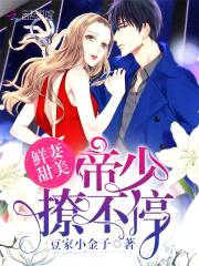 鲜妻甜美：帝少，撩不停！封面