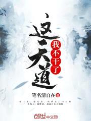 这天道我不干了封面