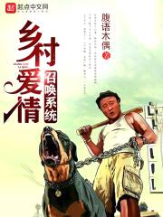 乡村爱情召唤系统封面