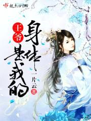 王爷，身体是我的封面