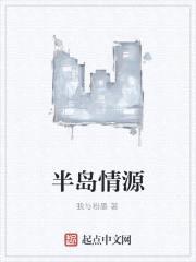 半岛情源封面