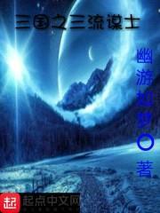 三国之三流谋士封面