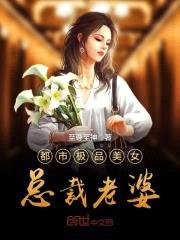 都市极品美女总裁老婆封面