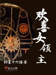 欢喜女领主封面