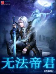 无法帝君封面