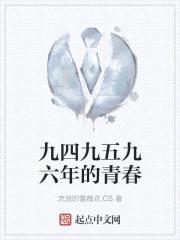 九四九五九六年的青春封面