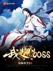 我是小boss封面