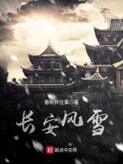 长安风雪封面