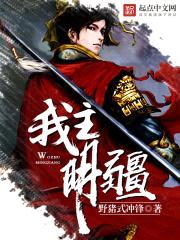 我主明疆封面