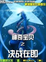 神奇宝贝之决战在即封面