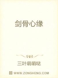 剑骨心缘封面