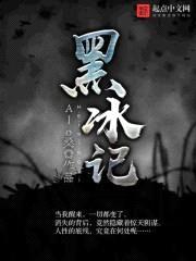 黑冰记封面