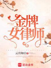 金牌女律师封面