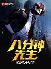 八分钟先生封面