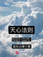 天心法则封面