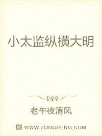 小太监纵横大明封面