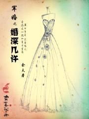 军婚之婚深几许封面