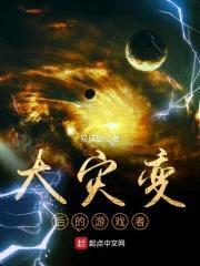 大灾变后的游戏者封面