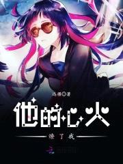 他的心火燎了我封面