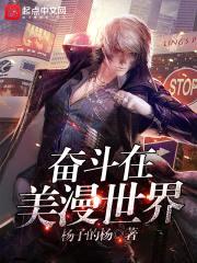 奋斗在美漫世界封面