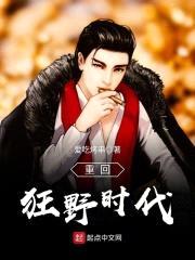 重回狂野时代封面