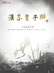汉末皇子辩封面
