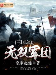 三国之无双军团封面