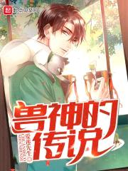 兽神的传说封面