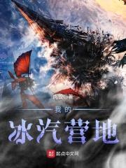 我的冰汽营地封面