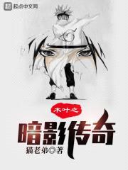 木叶之暗影传奇封面