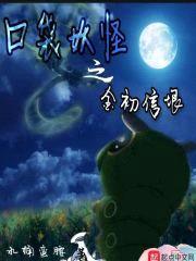 口袋妖怪之金初信垠封面