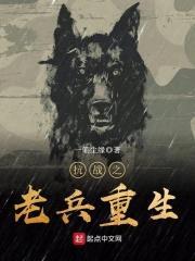 抗战之老兵重生封面