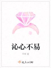 沁心不易封面