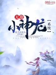 无敌小神龙系统封面