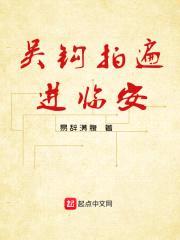 吴钩拍遍进临安封面