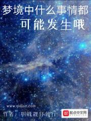 梦境中什么事情都可能发生哦封面