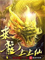 乘龙上上仙封面