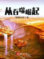 从吞噬崛起封面
