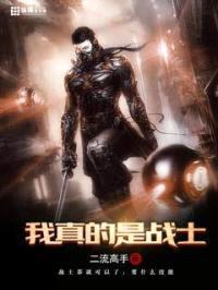 我真的是战士封面