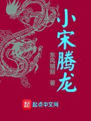 小宋腾龙封面