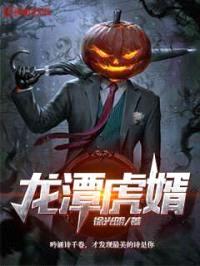 龙潭虎婿封面