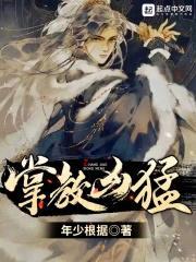 掌教凶猛封面