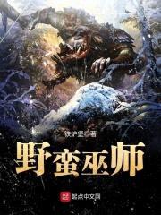 野蛮巫师封面