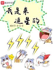 我是来追星的封面