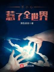 不小心惹了全世界封面